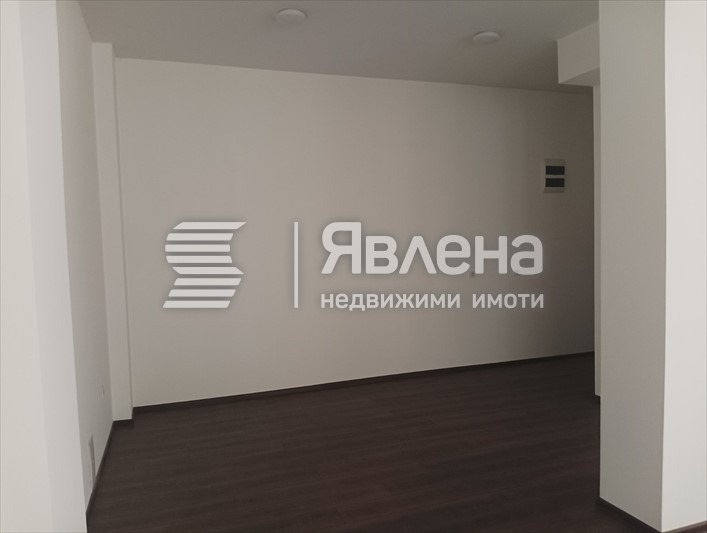 Дава под наем БИЗНЕС ИМОТ, гр. София, Свобода, снимка 3 - Други - 55039170