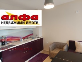 1 ložnice Centar, Dobrič