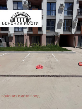 ����� ���� ��� ���� ����������,���� �����, �������� ������