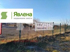 ����� ���� ��� ���� �����,���� �����, ���������