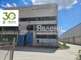 ������ ���� ��� ���� �����