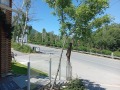 Дава под наем БИЗНЕС ИМОТ, гр. София, Бояна, снимка 9