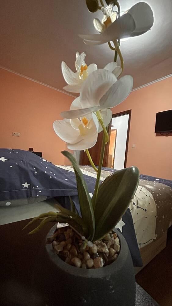 Kiadó  2 hálószobás Burgas , Sarafovo , 70 négyzetméter | 41343434 - kép [3]
