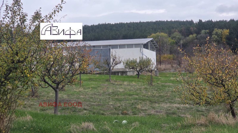 Под наем СКЛАД, област София, с. Нови хан • 600 € / 1173.50 лв. • 57839487 1