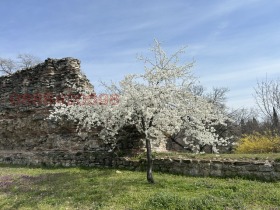 ����� ���� ��� ���� 2-�����,��. ������, ������ �������