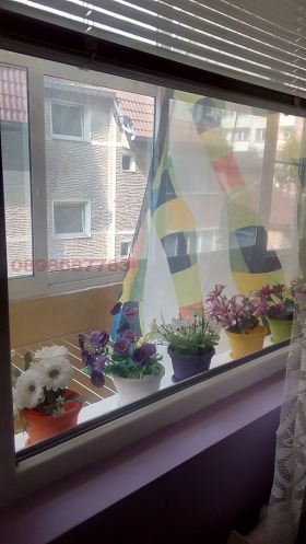 ���� ��� ���� 2-����� | Imot.bg � ����� ������ 13