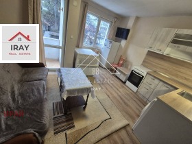 ����� ���� ��� ���� 3-�����,���� ����� ������, �������