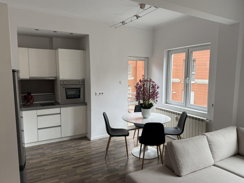 Дава под наем 2-СТАЕН, гр. София, Център, снимка 3 - Апартаменти - 53531851