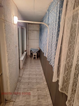 ������ ���� ��� ���� 2-�����