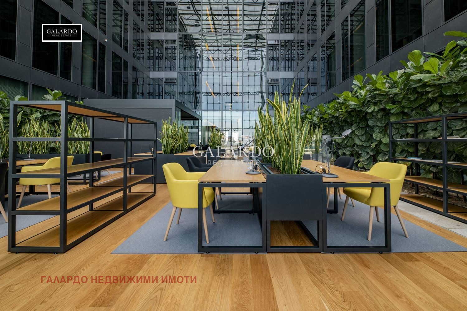 ���� ��� ���� ���� | Imot.bg � ����������� 1