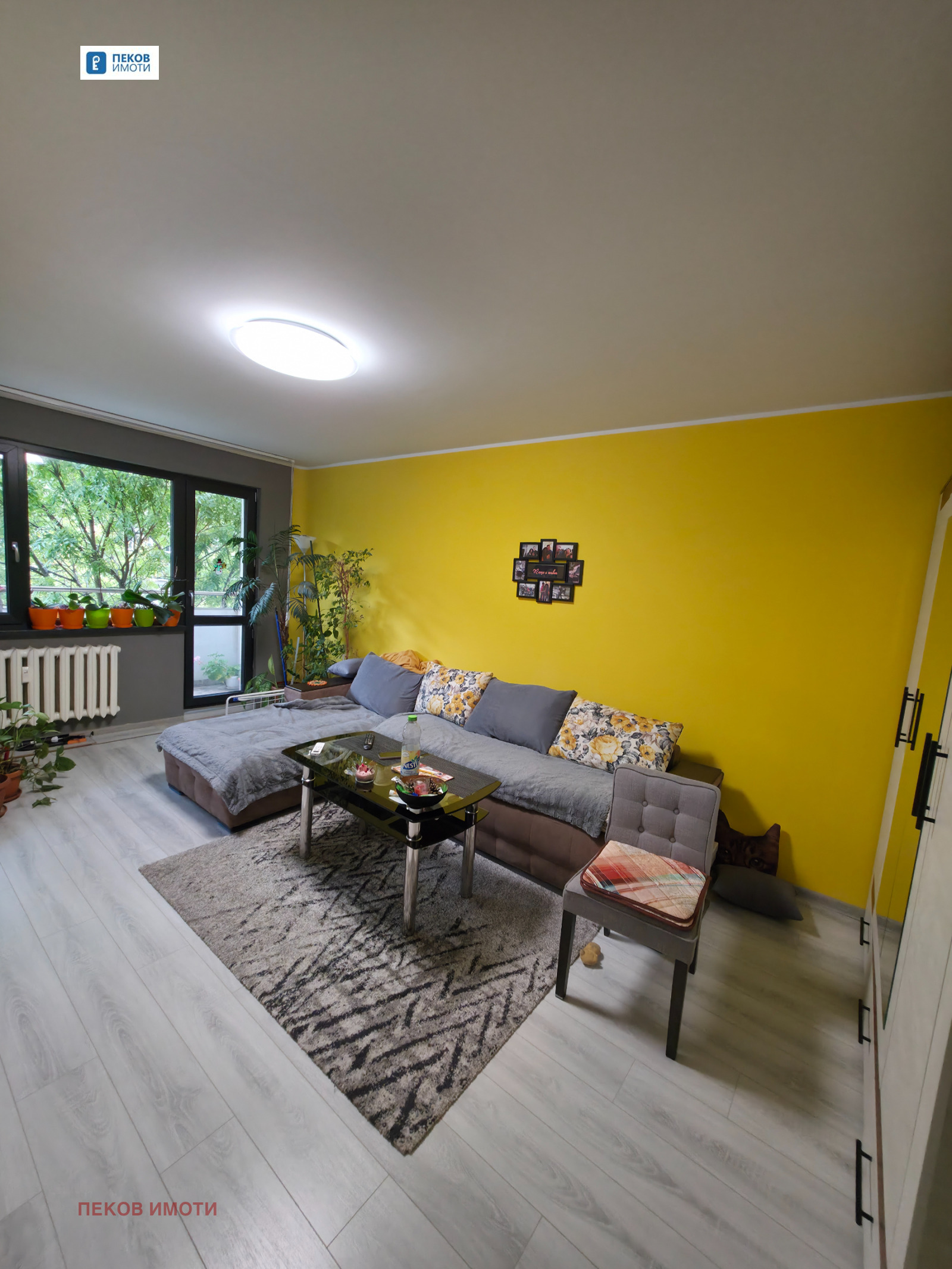 ���� ��� ���� 2-����� | Imot.bg � ����������� 1