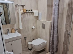 1 bedroom Zona B-5, Sofia 8