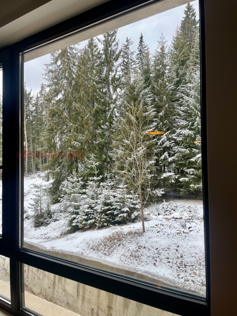 Дава под наем 1-СТАЕН, к.к. Пампорово, област Смолян, снимка 13 - Апартаменти - 52769859