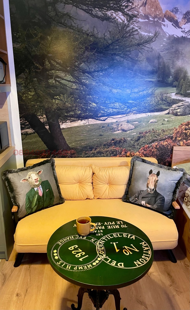 Дава под наем 1-СТАЕН, к.к. Пампорово, област Смолян, снимка 14 - Апартаменти - 52769859