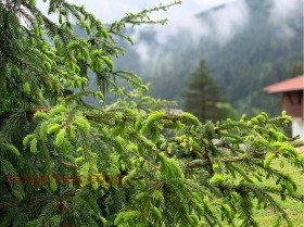 ���� ��� ���� 2-����� | Imot.bg � ����� ������ 13