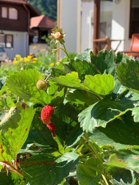 ���� ��� ���� 2-����� | Imot.bg � ����� ������ 14