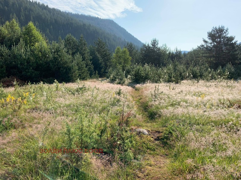 Дава под наем 2-СТАЕН, с. Мала църква, област София област, снимка 16 - Апартаменти - 53016508