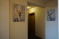 Под наем 3-СТАЕН, град София, Редута • 1450 € • 37208574 — Holmes.bg