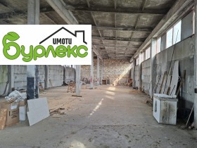 ������ ���� ��� ���� �����