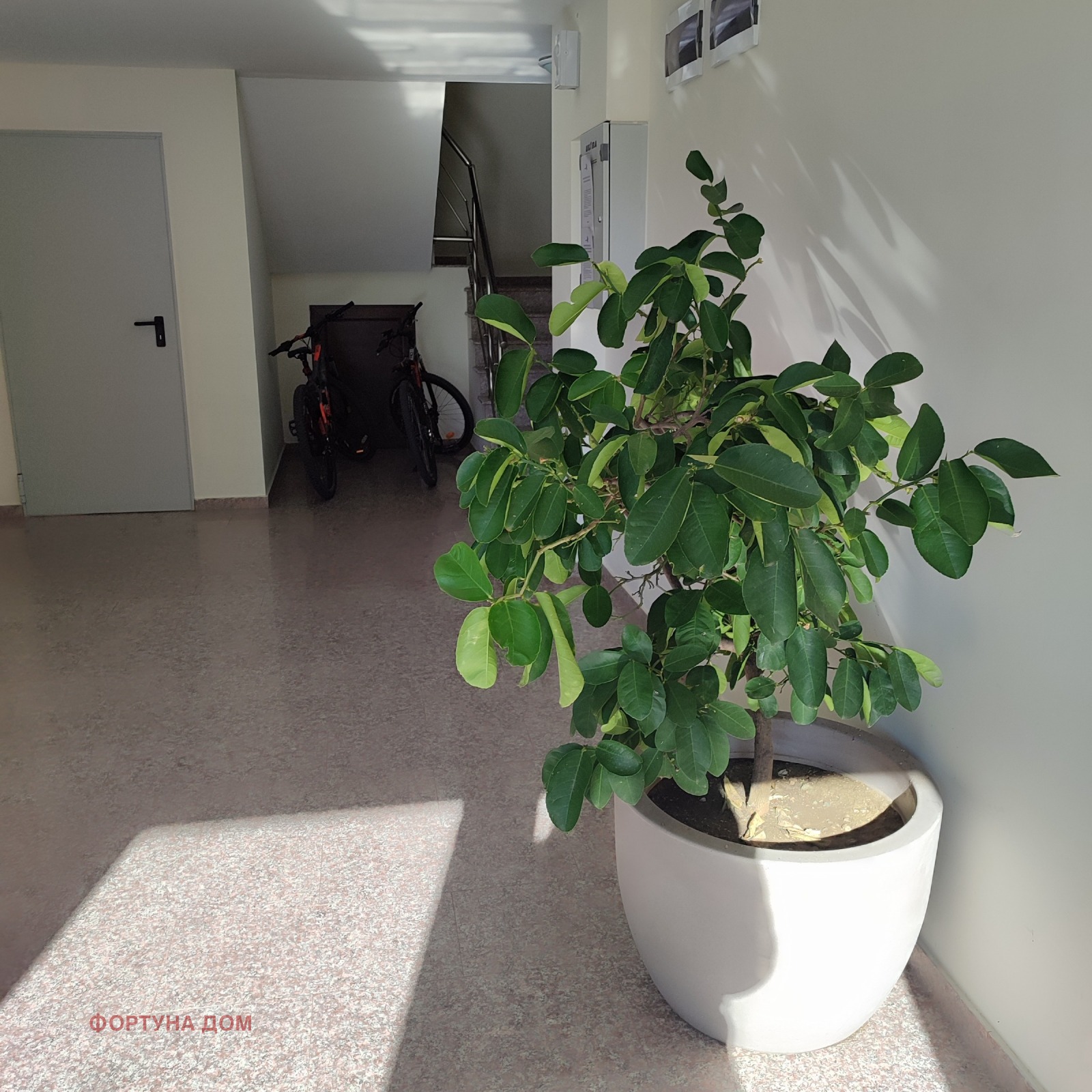 ���� ��� ���� 2-����� | Imot.bg � ����������� 14