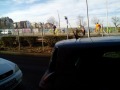 Под наем МАГАЗИН, град София, Медицинска академия • 700 лв. / 357.90 € • 51178855 3