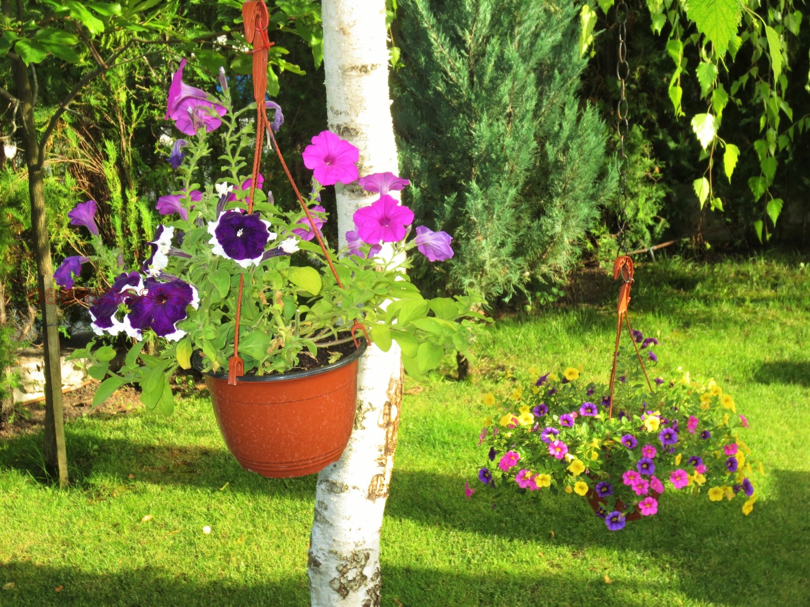 ���� ��� ���� 1-����� | Imot.bg � ����������� 7
