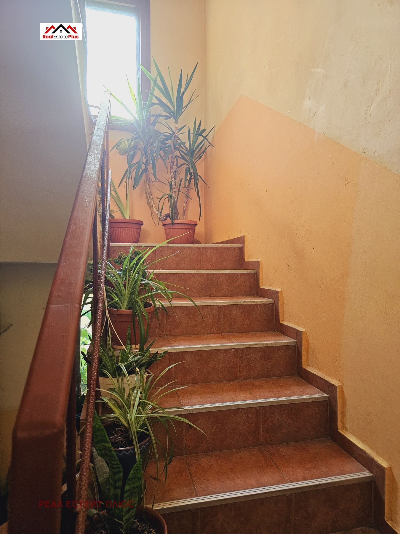 ���� ��� ���� ���� �� ���� | Imot.bg � ����������� 13