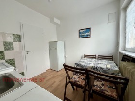 1 Schlafzimmer Reduta, Sofia 4