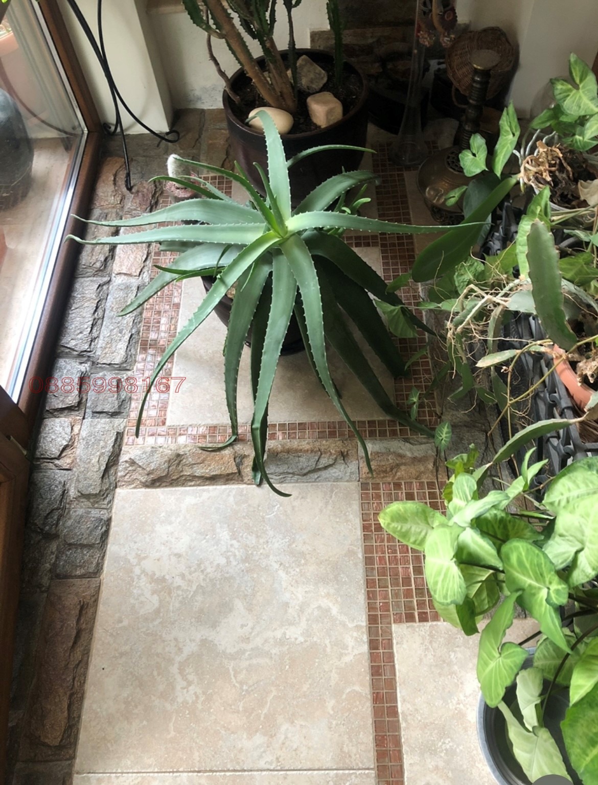 Дава под наем 3-СТАЕН, гр. Пловдив, Кършияка, снимка 9 - Апартаменти - 53993568