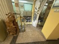 Под наем ОФИС, град Варна, Център • 3000 € • 51267968 — Holmes.bg