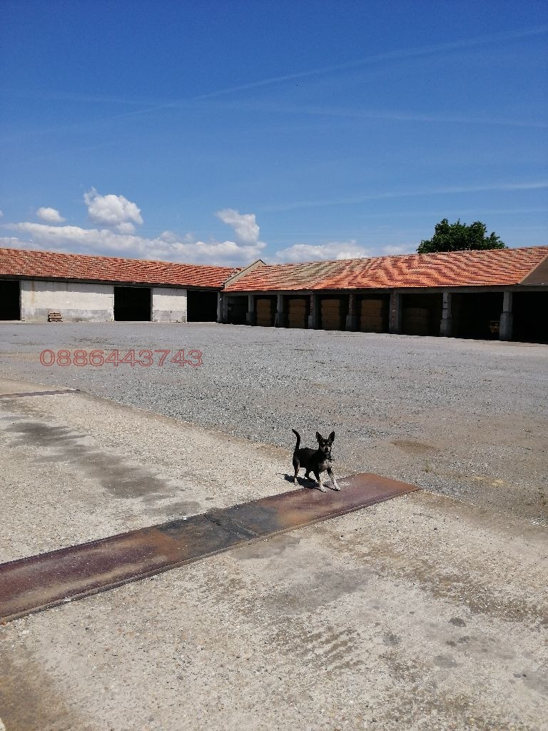 ���� ��� ���� �������/����� | Imot.bg � ����������� 4