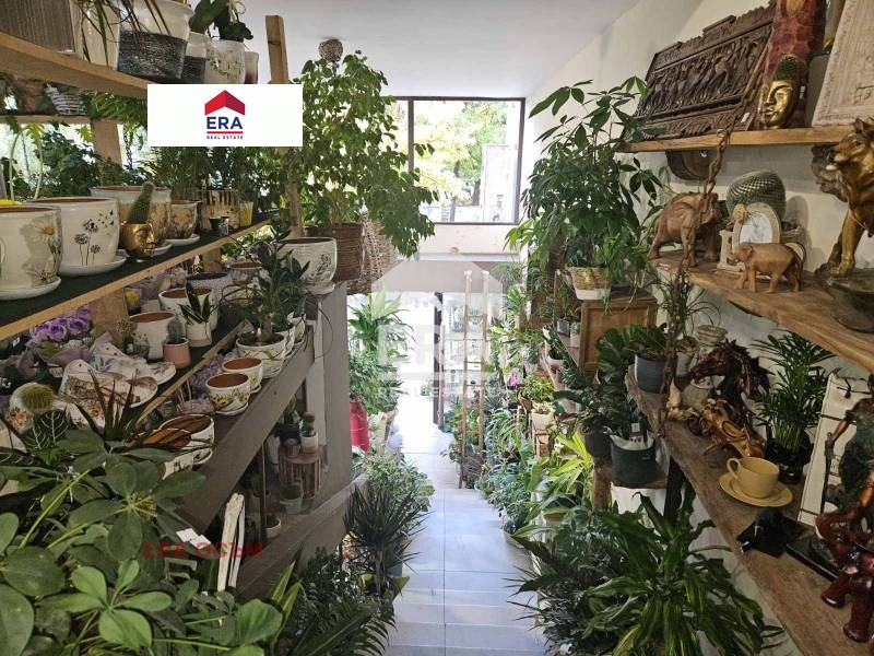 Дава под наем МАГАЗИН, гр. Ловеч, Широк център, снимка 4 - Магазини - 52060014