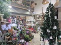 Под наем МАГАЗИН, град Ловеч, Широк център • 1022 € / 1998.86 лв. • 32571299 7