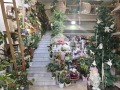 Под наем МАГАЗИН, град Ловеч, Широк център • 1022 € / 1998.86 лв. • 32571299 6