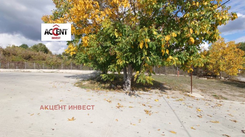 For Rent  Storage Varna , Zapadna promishlena zona , 2681 sq.m | 66747566 - image [15]