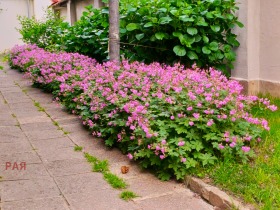 2-стаен град София, Лозенец 2