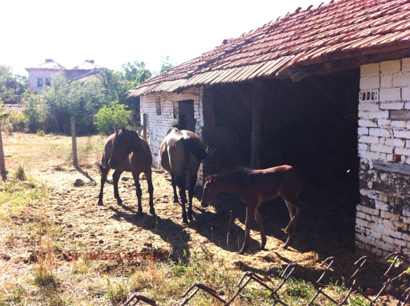 Προς ενοικίαση  σπίτι περιοχή Yambol , Μαμαρτσεβο , 140 τ.μ | 10608371 - εικόνα [4]