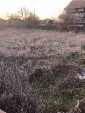 Дава под наем БИЗНЕС ИМОТ, гр. Костинброд, област София област, снимка 11