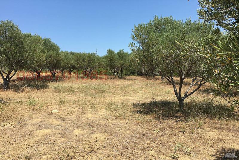 Дава под наем МЯСТО, Извън страната, област Извън страната, снимка 6 - Парцели - 52786127