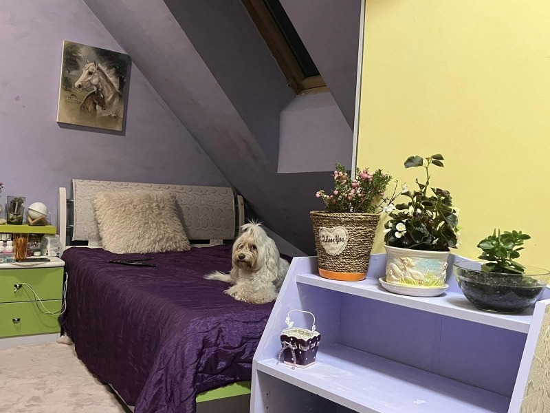 Дава под наем 1-СТАЕН, гр. София, Слатина, снимка 5 - Апартаменти - 52797549