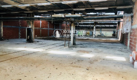 ������ ���� ��� ���� �����