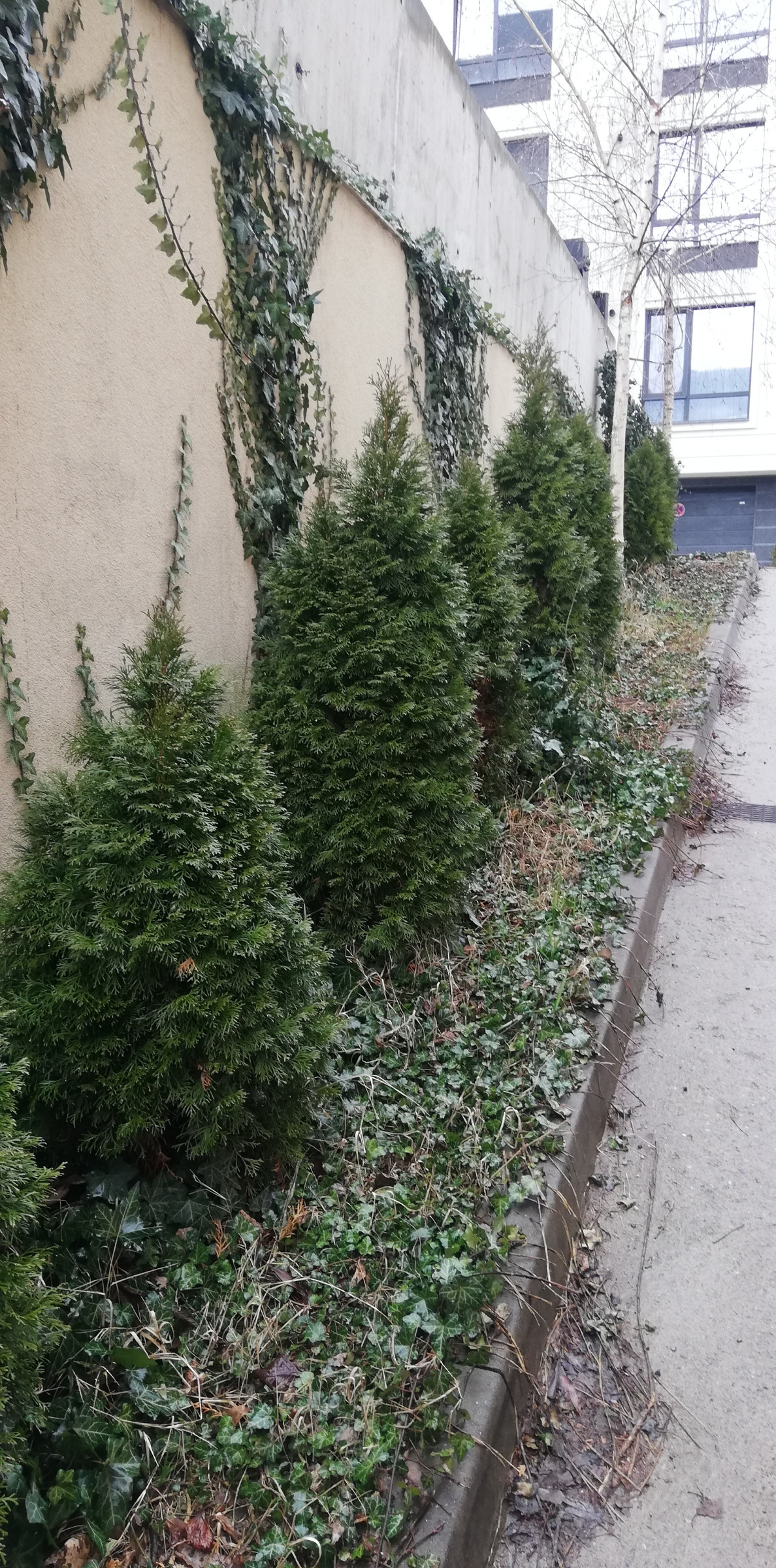 ���� ��� ���� 2-����� | Imot.bg � ����������� 14