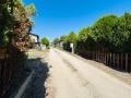 Дава под наем  Къща област Варна , с. Осеново , 350 кв.м | 74618695 - изображение [4]