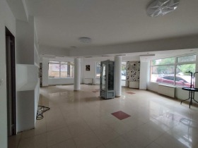 ����� ���� ��� ���� ���������,���� �����, ���������