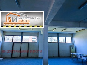 ����� ���� ��� ���� �������,���� �������, ������������ ���� - �����