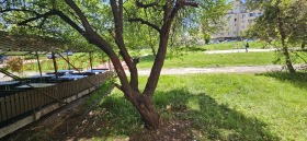 ���� ��� ���� 1-����� | Imot.bg � ����� ������ 3