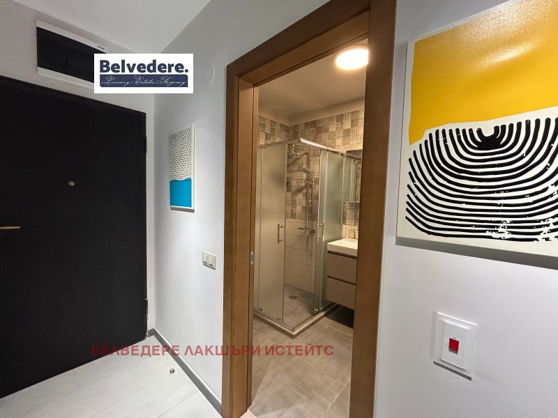 Дава под наем 3-СТАЕН, гр. София, Лозенец, снимка 15 - Апартаменти - 53114774