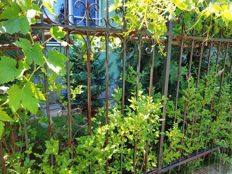 В оренду  2 спальні София , Овча купел , 75 кв.м | 82744501 - зображення [16]