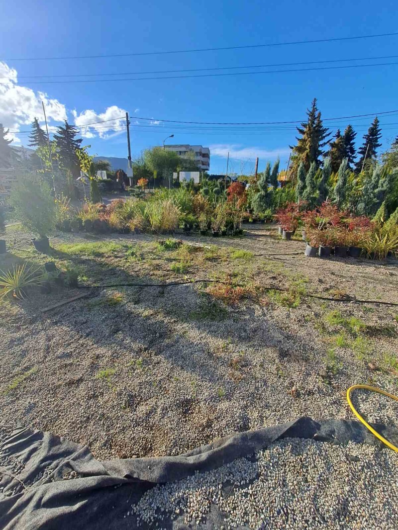 Дава под Наем МЯСТО в град София, с. Панчарево - 2550 кв.м / 2 200 € » 4 302.83 лв., СЪН СИТИ НЮ ЕООД