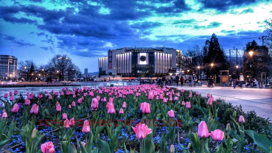 Дава под наем МАГАЗИН, гр. София, Център, снимка 7 - Магазини - 54998231